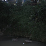 IMG_3745.JPG