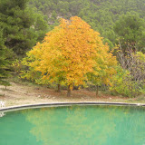 IMG_4122.JPG