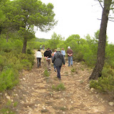 IMG_4116.JPG