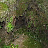 IMG_4133.JPG
