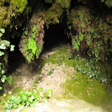 IMG_4139.JPG