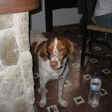 IMG_4181.JPG