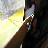IMG_4299.JPG