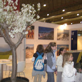IMG_7005.JPG