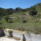 IMG_8721.JPG
