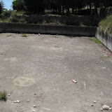 IMG_8727.JPG