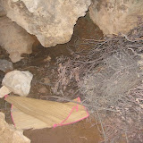 IMG_8752.JPG