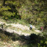 IMG_8798.JPG