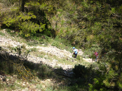  El forat de la Penya Migjorn