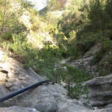IMG_8838.JPG