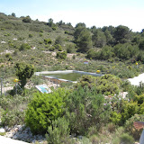 IMG_8823.JPG