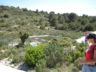  El forat de la Penya Migjorn