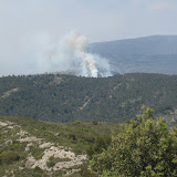 IMG_8824.JPG