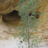 IMG_8843.JPG