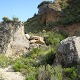IMG_8847.JPG