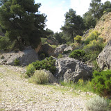 IMG_8849.JPG