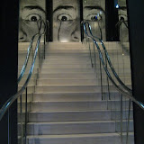 IMG_7964.JPG