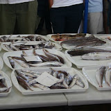 IMG_6491.JPG