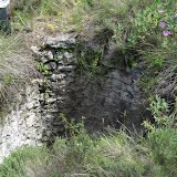 IMG_8870.JPG