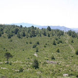 IMG_8141.JPG
