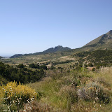 IMG_8135.JPG