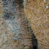 IMG_8147.JPG