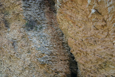  Excursió per Nutxes, La Llibreria, Barranc dels Ports, Penya Reona, La Costa i Riu Sec