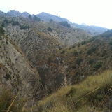 IMG_0189.jpg