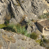 IMG_8929.JPG