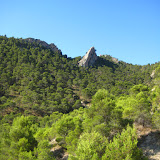 IMG_8941.JPG