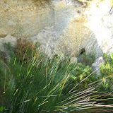 IMG_8949.JPG
