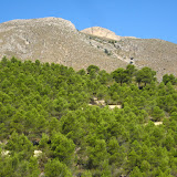 IMG_8954.JPG