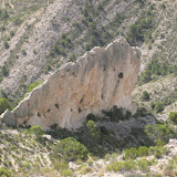 IMG_8979.JPG