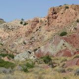 IMG_8843.JPG