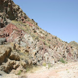 IMG_8848.JPG