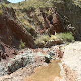 IMG_8853.JPG