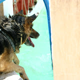 IMG_8835.JPG