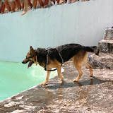 IMG_8812.JPG