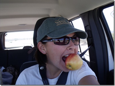 pics 011