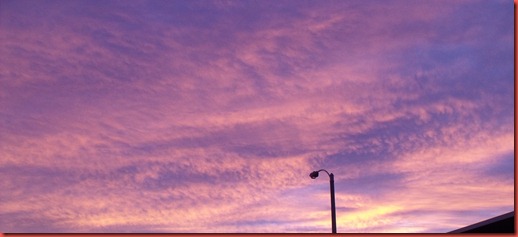 pics 001