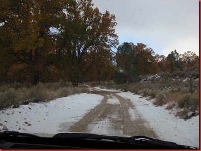 pics 018