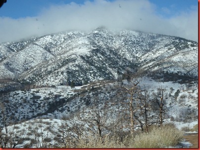 pics 044
