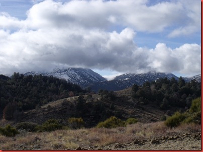 pics 048