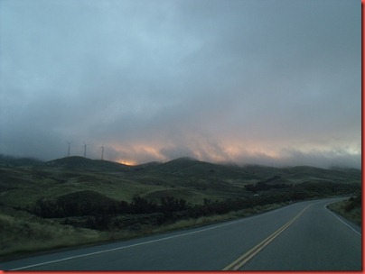 pics 008