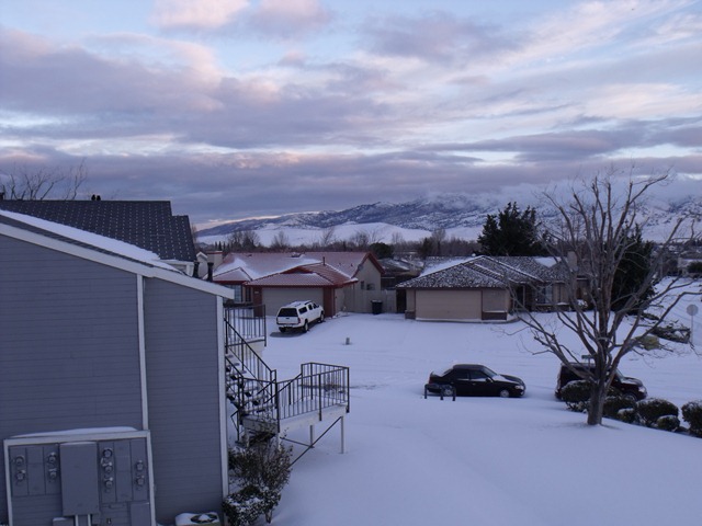 [snowday 006[3].jpg]