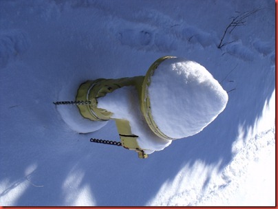 snowday 026