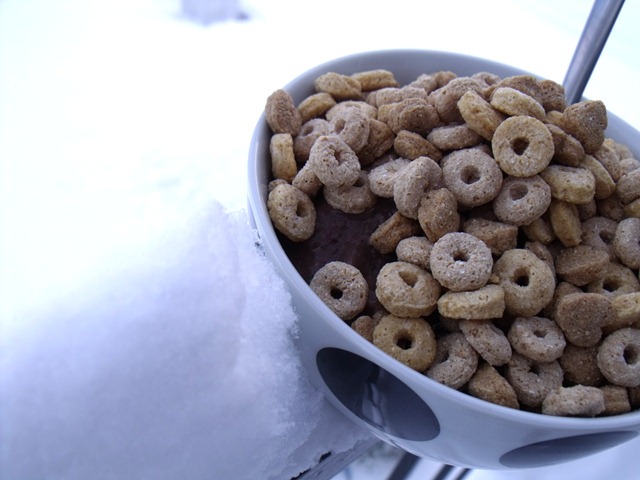 [snowday 002[13].jpg]