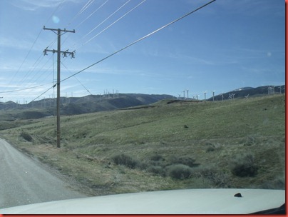 pics 005