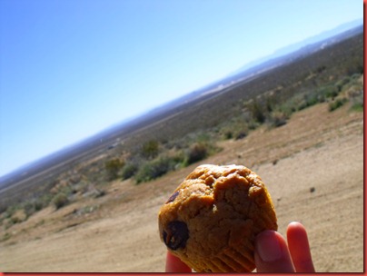 pics 011