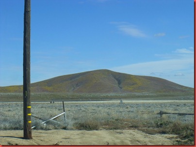 pics 012